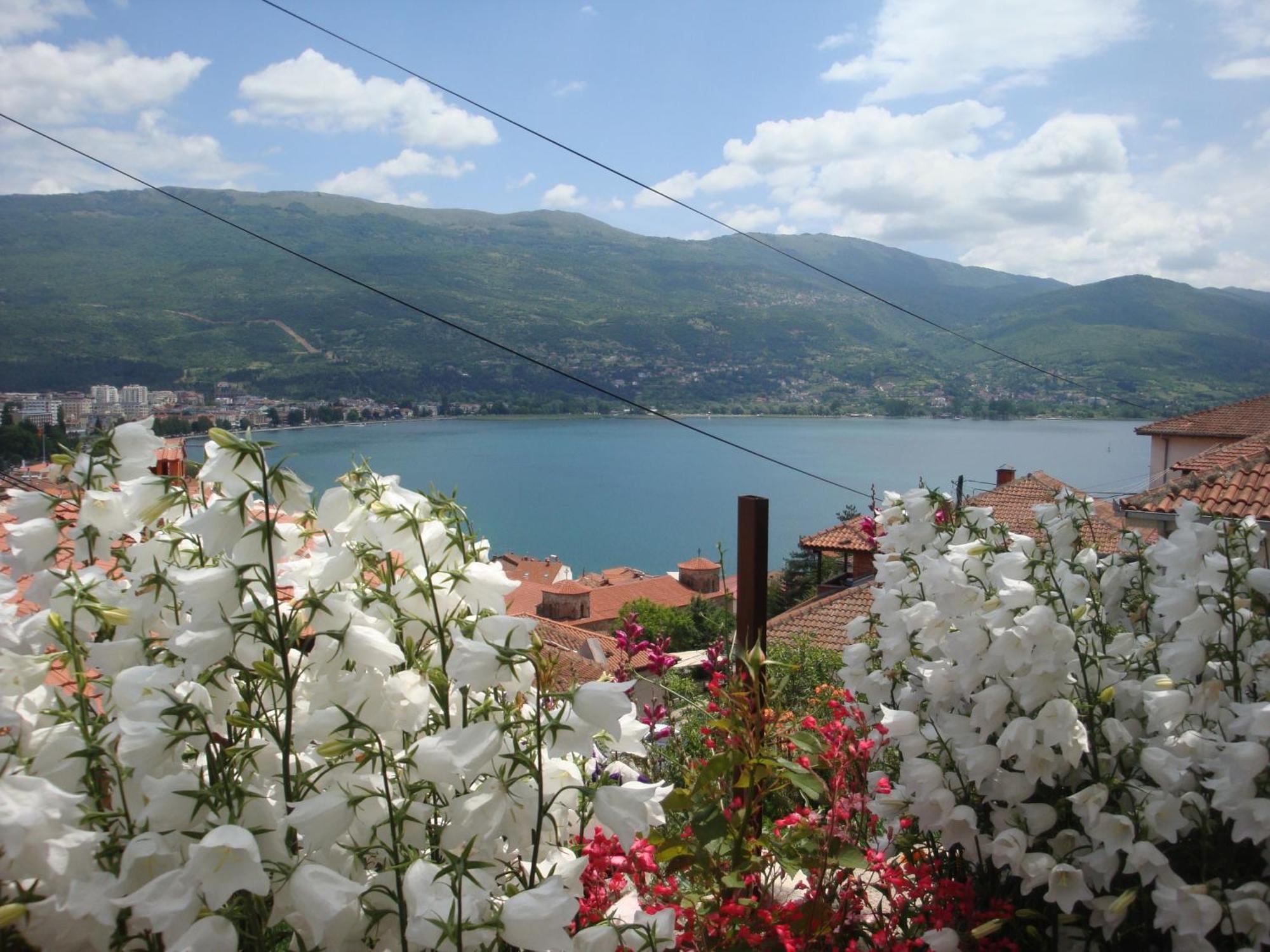 Apartments Villa Saray Ohrid Extérieur photo