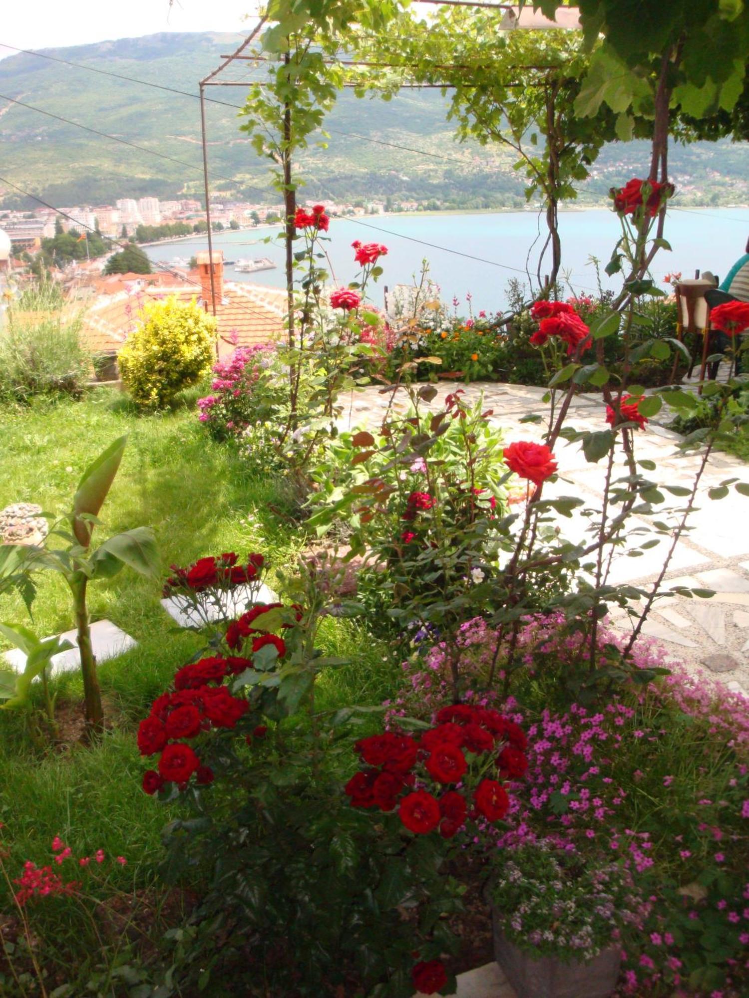 Apartments Villa Saray Ohrid Extérieur photo