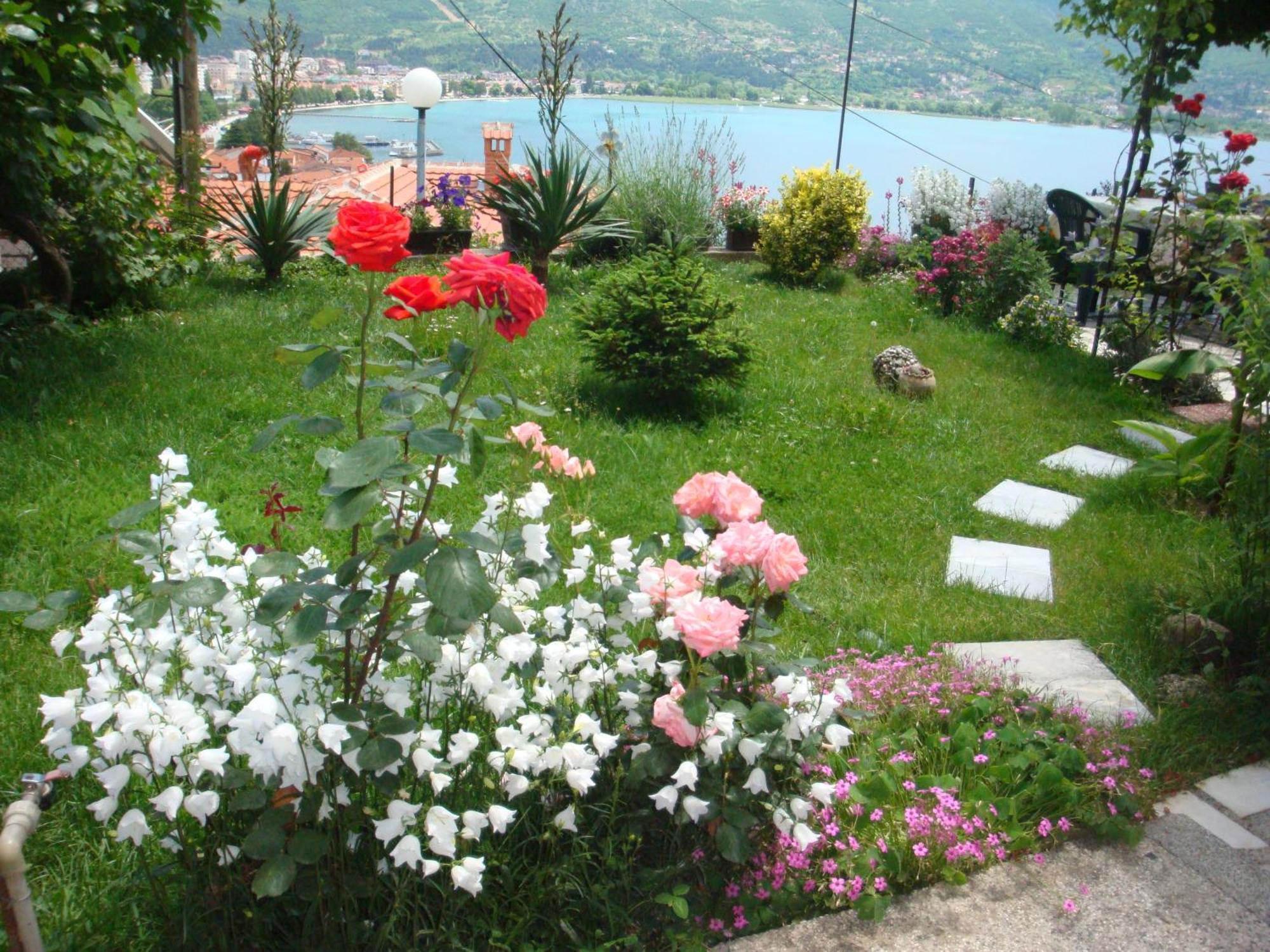 Apartments Villa Saray Ohrid Extérieur photo