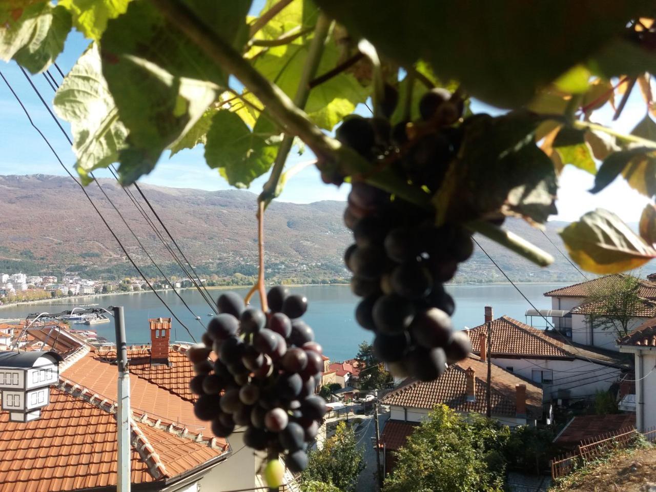 Apartments Villa Saray Ohrid Extérieur photo